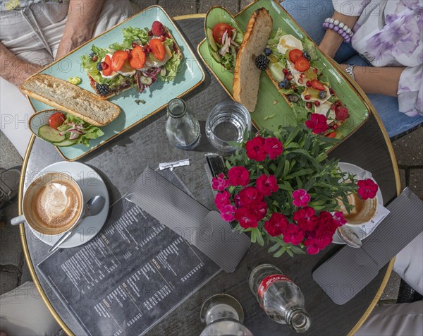 Sheep's cheese au gratin served on a bistro table in a café, Franconia, Bavaria, Germany, Europe