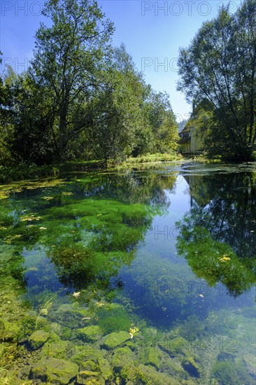 Aachtopf, blue spring pot, Aach spring, Urspring near Schelklingen, Swabian Alb, Baden-Württemberg, Germany, Europe