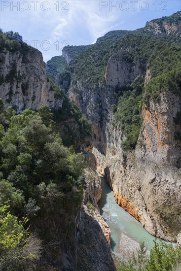 A river flows through a deep gorge with steep, wooded rock faces and green thickets, Congost de Mont-rebei gorge, Noguera Ribagorçana Mont-rebei Natural Park, Montsec mountain range, Noguera Ribagorçana river, Lleida province, Catalonia, Aragon, Spain, Europe