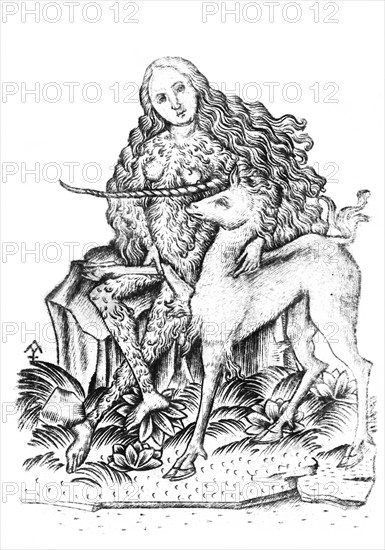 Playing card, with wild woman and unicorn, 15th century, England, Historical, digitally restored reproduction from a 19th century original, Record date not stated