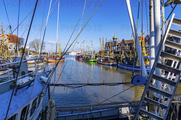 Cutter harbour Neuharlingersiel, Lower Saxony, Germany, Europe