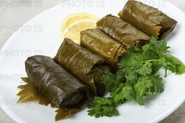 Dolma, minced meat with rice, in grape leaves, rolls with minced meat, on a white plate, top view, no people, dolma, grape leaves with filling