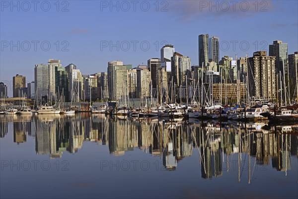 Vancouver skyline with Coal Harbour, photographed from Stanley Park, Vancouver, Canada, North America