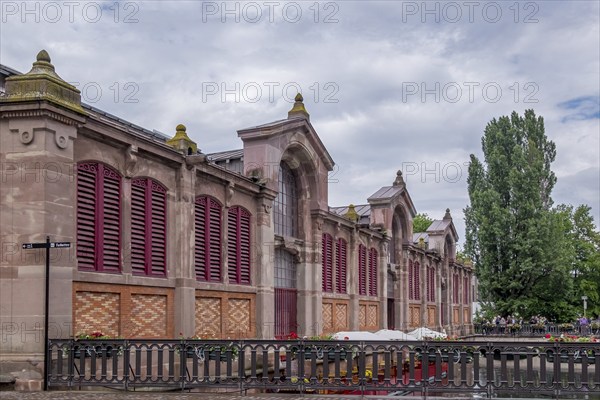 Market hall Marché couvert on the canal, La Petite Venise district, Little Venice, Old Town, Colmar, Grand Est, Haut-Rhin, Alsace, France, Europe