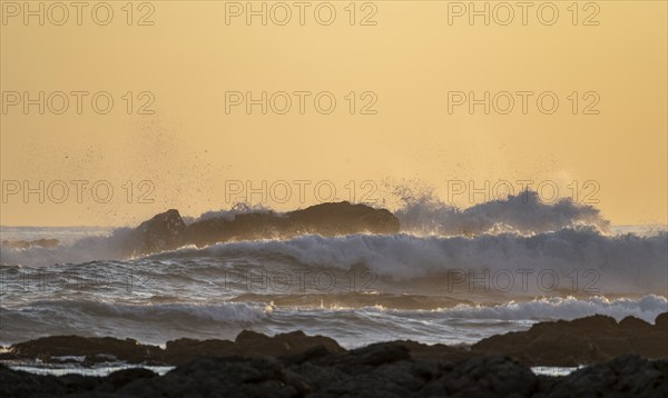 Evening mood, Marino Ballena National Park, coast with waves, South Pacific Ocean, Puntarenas Province, Osa, Costa Rica, Central America