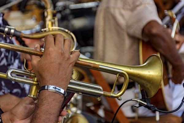 Trumpet player and group of musicians during a musical performance in the streets of Recife, Recife, Pernambuco, Brazil, South America