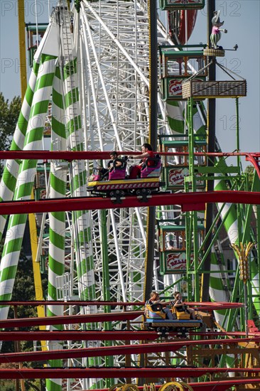 The Rhine Fair in Düsseldorf, in the Rhine meadows in the Oberkassel district, on the Rhine, Wild Mouse ride, North Rhine-Westphalia, Germany, Europe