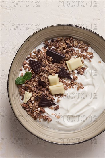 Yogurt with chocolate muesli, breakfast, close-up, fork on top, no people