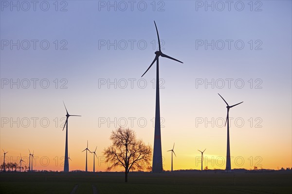 Wind turbines at dawn, Wevelsburg wind farm, Büren, Paderborn plateau, North Rhine-Westphalia, Germany, Europe