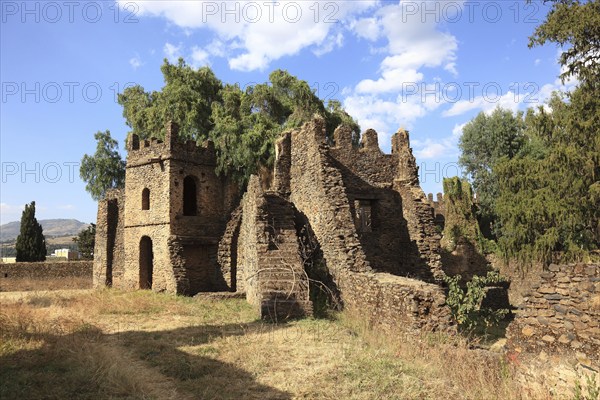 Amhara region, in the Gemp palace complex in Gondar, Gonder, UNESCO, world, heritage, cultural heritage, Ethiopia, Africa