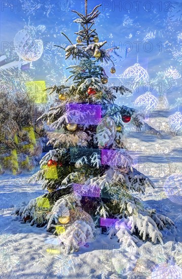 Christmas tree in the snow, Christmas tree, winter landscape, Christmas motif, Christmas, Christmas festival, Advent season, Christmas baubles, jewellery, Advent season, artistic shot, alienation, Christmas card motif, creative photography, back, all over, all-over pattern, surreal, Germany, Europe