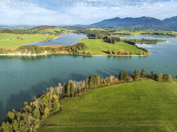 Aerial view of lake Forggensee, near Dietringen, Ammergauer Alpen, Allgaeu, Bavaria, Germany, Europe