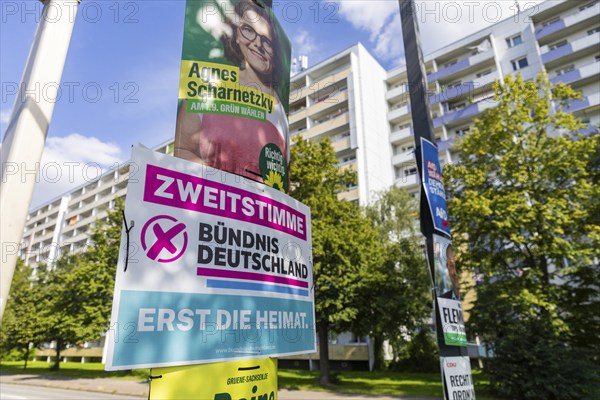 The hot phase of the state election campaign in Saxony can be seen in the amount of different messages on trees and lanterns, State election campaign in Saxony, Dresden, Saxony, Germany, Europe