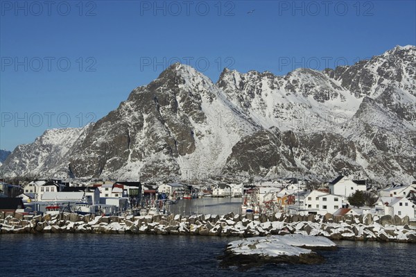 Henningsvaer on the Lofoten Islands in winter, Henningsvaer, Norway, Scandinavia, Europe