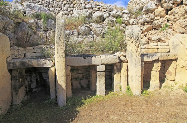 Ggantija neolithic megalithic 5500 years old prehistoric temple complex site Gozo, Malta, Europe