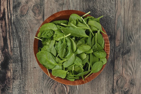 A wooden bowl with vibrant, fresh and crisp spinach leaves on a rustic wooden table, ideal for preparing healthy meals or adding to salads