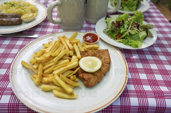 Schnitzel Wierner style with French fries and salad plate served in a garden restaurant, Franconia, Bavaria, Germany, Europe