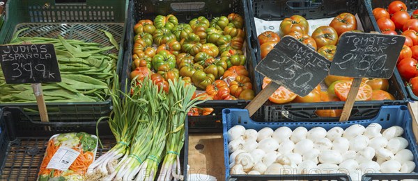 Fresh vegetables at a market with tomatoes, spring onions, green beans and price tags, San Ildefonso, Segovia, Castilla y Leon, Castilla y León, Spain, Europe