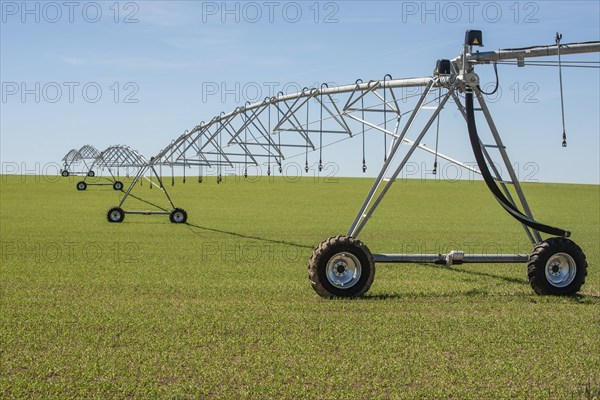 Modern environmentally friendly irrigation system on green crops in Kabusa, Ystad municipality, Skåne, Sweden, Scandinavia, Europe