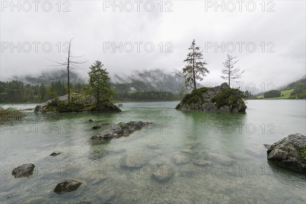 Hintersee near Ramsau, surrounded by forests and mountains under a cloudy rainy sky, fog, Berchtesgaden National Park, Berchtesgadener Land, Upper Bavaria, Bavaria