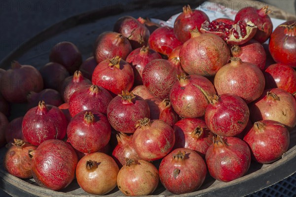 Market sale pomegranate (Punica granatum), Özdere, Izmir province, Turkey, Asia