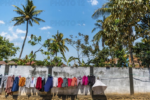 Laundry drying in the sun on a backyard, clothesline, traditional, tradition, drying, sun, wind, colourful, alternative, energy, economical, poverty, save electricity, clothes dryer, Lombok, Indonesia, Asia