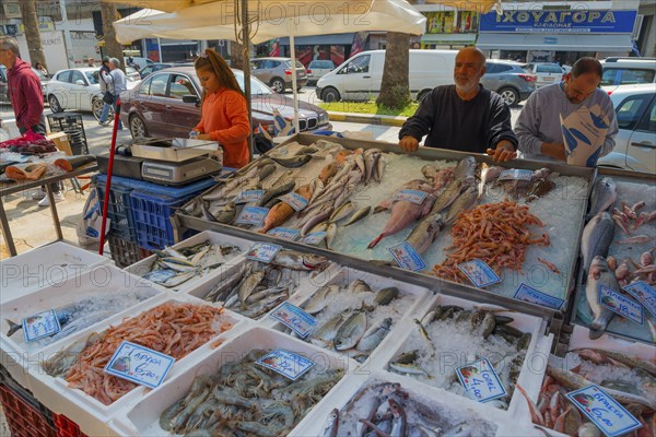 Fish market with a large selection of fish. A vendor serves customers in an urban environment, market, Nafplio, Nauplia, Nauplion, Nafplion, Argolis, Peloponnese, Greece, Europe