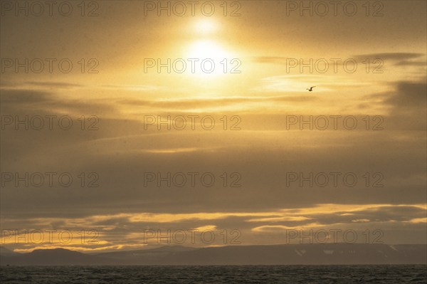 Snow, sun, sea at Boltodden, Spitsbergen, Svalbard, Norway, Europe