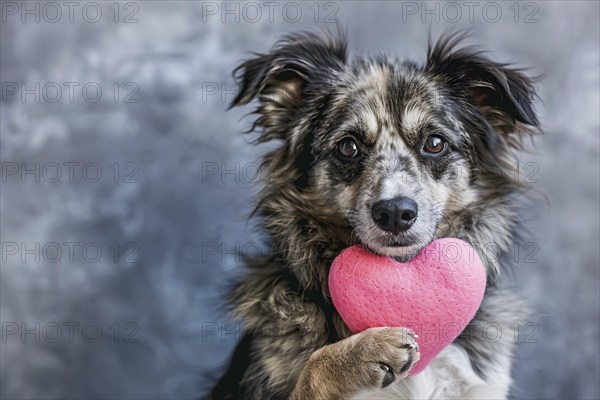 Dog holding pink plush heart in paw. Generative Ai, AI generated