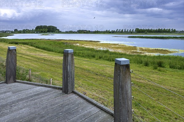 Sophia Polder, Sophiapolder, nature reserve and refuge for water birds near Oostburg, Zeeland, Netherlands