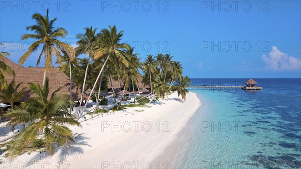 Bird's eye view of sandy beach Maldives beach beach and narrow lagoon of Maldives island with under tall palm trees coconut palms (Cocos nucifera) in Indian Ocean, Filaidhoo Island, Raa Atoll, Maldives, Asia