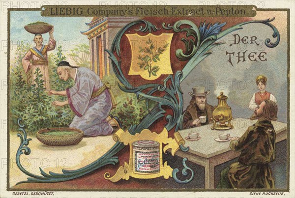 Picture series Drinks of the World, The Tea, Liebig picture, digitally restored reproduction of a collector's picture from around 1900, public domain, exact date unknown, scene with people making and drinking tea, surrounded by tea plants