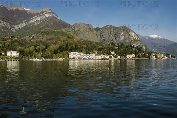 Botanical garden, spring, Villa Carlotta, Tremezzo, Province of Como, Lake Como, Lago di Como, Lombardy, Italy, Europe