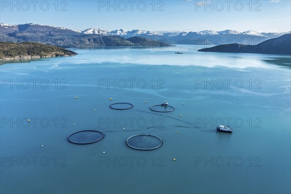 Aerial view over salmon farm in the Hardangerfjord, swimming cages, ferry in the back, Hardangerfjord, Norway, Europe