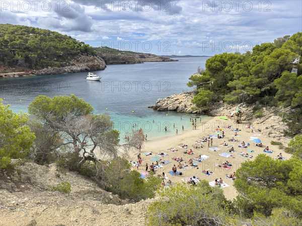 Beach full of people with parasols at the bay of Cala Saladeta with turquoise-coloured water, Ibiza, Balearic Islands, Spain, Europe