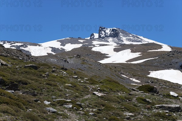 Majestic snow-capped mountain with rocky slopes under a clear blue sky, Pico del Veleta, Veleta peak, Güéjar Sierra, Güejar, Sierra Nevada, Andalusia, Spain, Europe