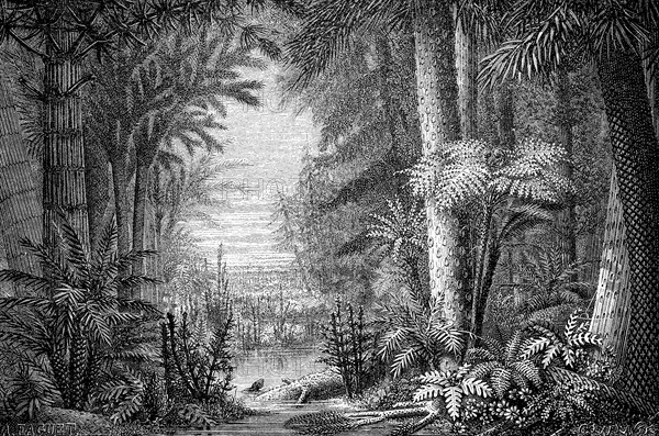 Ideal landscape from the Coal Age, Carboniferous, 350 million years ago, illustration from 1870, historical, digital reproduction of an original from the 19th century