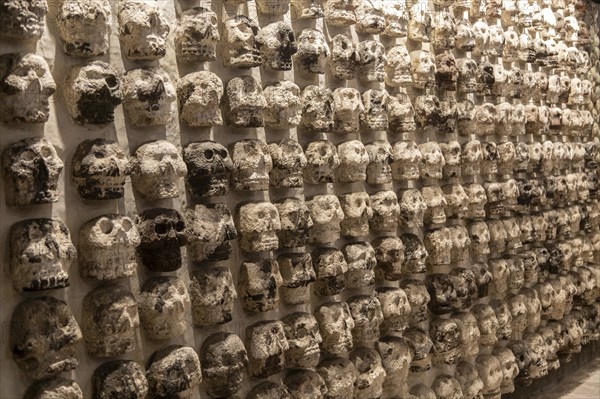 Wall of stone human skulls, archaeological site and museum of Templo Mayor, Mexico City, Mexico, Central America