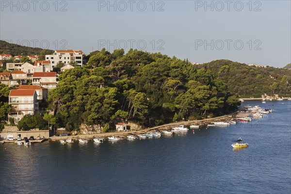 High angle view of tan and white trim houses and villas with traditional terracotta clay tile rooftops on hillside and docked boats on Lapad peninsula in late summer, Dubrovnik, Croatia, Europe