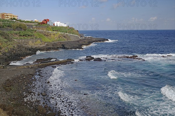 The coastline with gentle waves, houses and rocky surroundings, San Andres, La Palma, Canary Islands, Spain, Europe