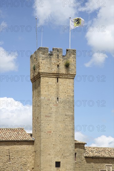 Tower with town flag of the Château de l'Empéri built in the 9th century, historic defence defence tower, military museum, Salon-de-Provence, Bouches-du-Rhône, Provence, France, Europe