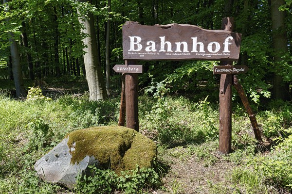 Wooden sign with the inscription Bahnhof im Wald, signpost, hiking trail to Köterberg, Hummersen, Lügde, Weserbergland, North Rhine-Westphalia, Germany, Europe