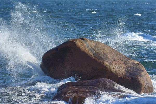 Large granite rose rock, in the middle of the sea, lapped by waves, with splashing spray against a blue background, Ploumanach, Cote De Granit Rose, Cotes-d Armor department, Bretange, France, Europe