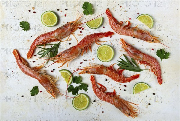 Langoustines, Australian, freshly frozen, top view, on a light background, lime and greens