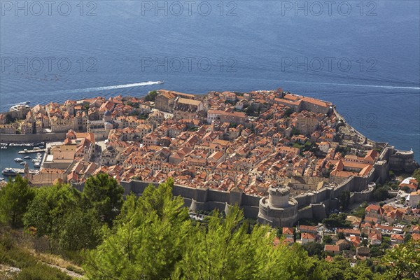 High angle view of old walled city of Dubrovnik with traditional terracotta clay tile rooftop buildings and adriatic sea taken from Mount Srd in late summer, Croatia, Europe