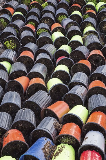 Rows of discarded tipped over blue, red, black and lime green plastic containers on the ground with withered plants, Quebec, Canada, North America