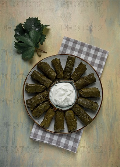 Dolma, cabbage rolls in grape leaves, Traditional Armenian dish, with white sauce, top view, close-up, selective focus