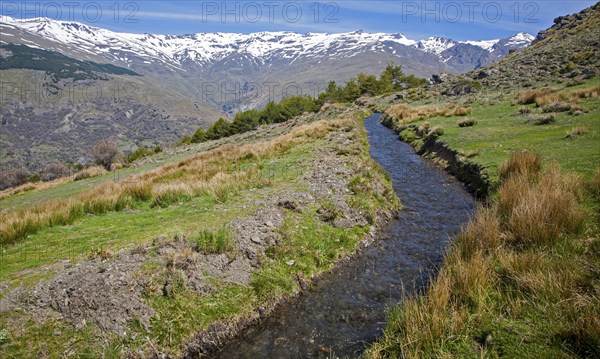 Water channel for irrigation known as an acequia, Sierra Nevada Mountains in the High Alpujarras, near Capileira, Granada Province, Spain, Europe