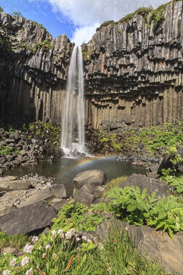 Waterfall, basalt columns, summer, sunny, rainbow, gorge, Svartifoss, Skaftafell National Park, Iceland, Europe