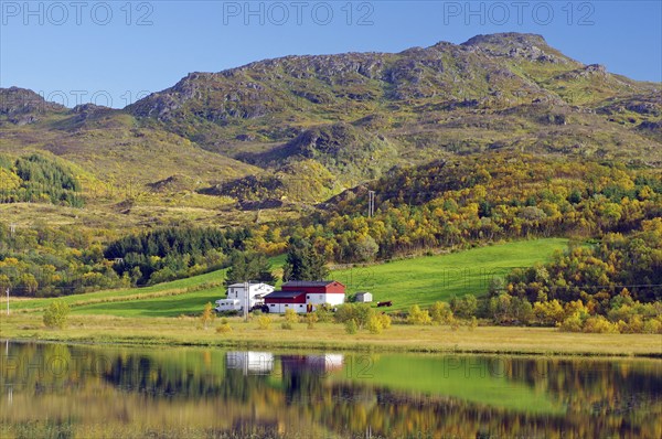 A house surrounded by autumn-coloured hills and forests, reflected in a calm lake, Vestvågøya, Lofoten, Nordland, Norway, Europe